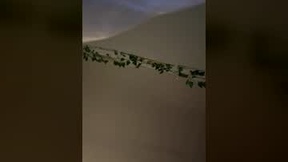Recent Screenshot of  brookemory