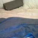 browneyez27's Profile Picture