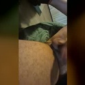 btcmagic83's Profile Picture