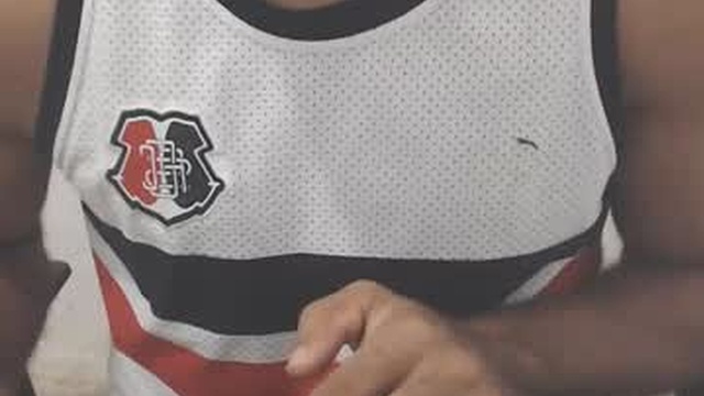 buldgeinboxer