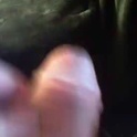 bullemoe's Profile Picture