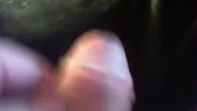 Recent Screenshot of  bullemoe