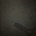 bunjiboy's Profile Picture