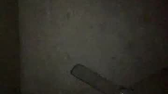 bunjiboy