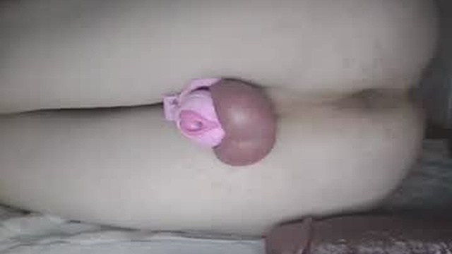 bunnyjessica