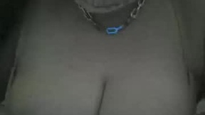 Recent Screenshot of  bviperidae