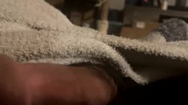 byrdbean