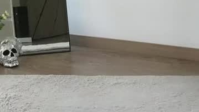 caamillee