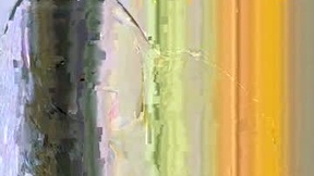 Recent Screenshot of  camilarougee