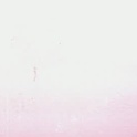 candyrose_res's Profile Picture