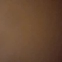 casalm34's Profile Picture