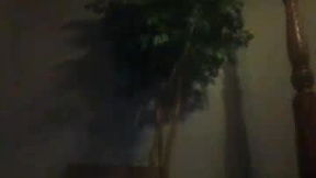 Недавний снимок экрана cashe_