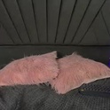 cassie_jones1's Profile Picture