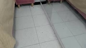  cata_mur