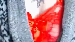 Recent Screenshot of  catalystic