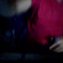 cazalhotbr's Profile Picture