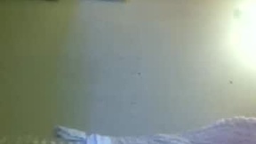 Recent Screenshot of  cd952721