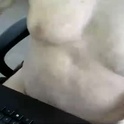 cdnmuscle's Profile Picture
