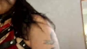 Recent Screenshot of  certifiedhousepet