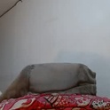cesar_master_'s Profile Picture