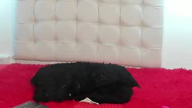 chanel_moon26