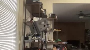 Πρόσφατο στιγμιότυπο οθόνης του chapelwaste