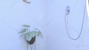 最近的截图 charlotte__08