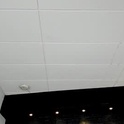 charlotte_whitee1's Profile Picture