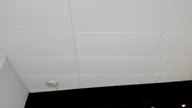 charlotte_whitee1