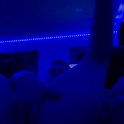 chasemanuel006's Profile Picture