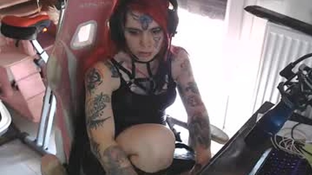 chatonsikora_trans