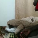 chocodre's Profile Picture