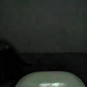 chris_harank1's Profile Picture