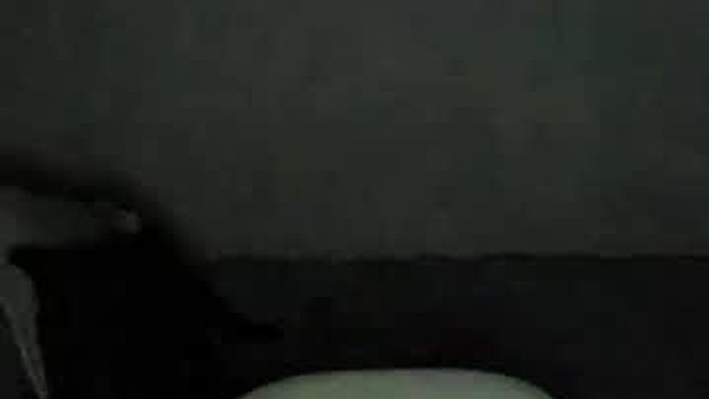 chris_harank1
