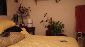 Recent Screenshot of  chrysanthulu