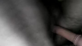 Recent Screenshot of  cockfory