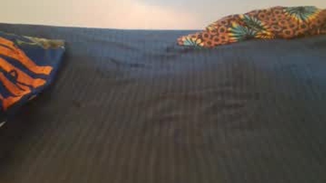 coco_vixen9