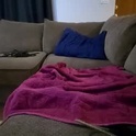 codyandbros1's Profile Picture