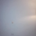 colette_e's Profile Picture