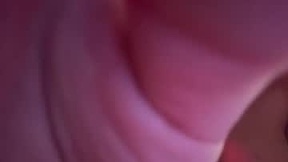 Aktueller Screenshot von coloradasex