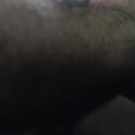 coloxito502's Profile Picture