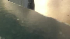 Recent Screenshot of  command224