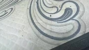 Recent Screenshot of  conball811