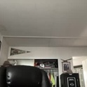 cookoosnest's Profile Picture