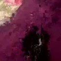 coopercdate's Profile Picture