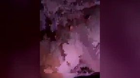 Recent Screenshot of  corals_house