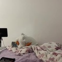 cosmo_pussy's Profile Picture
