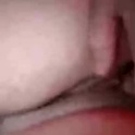 crazybear2026's Profile Picture