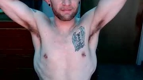 Recent Screenshot of  criptonight24