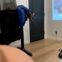 cum4medrea's Profile Picture